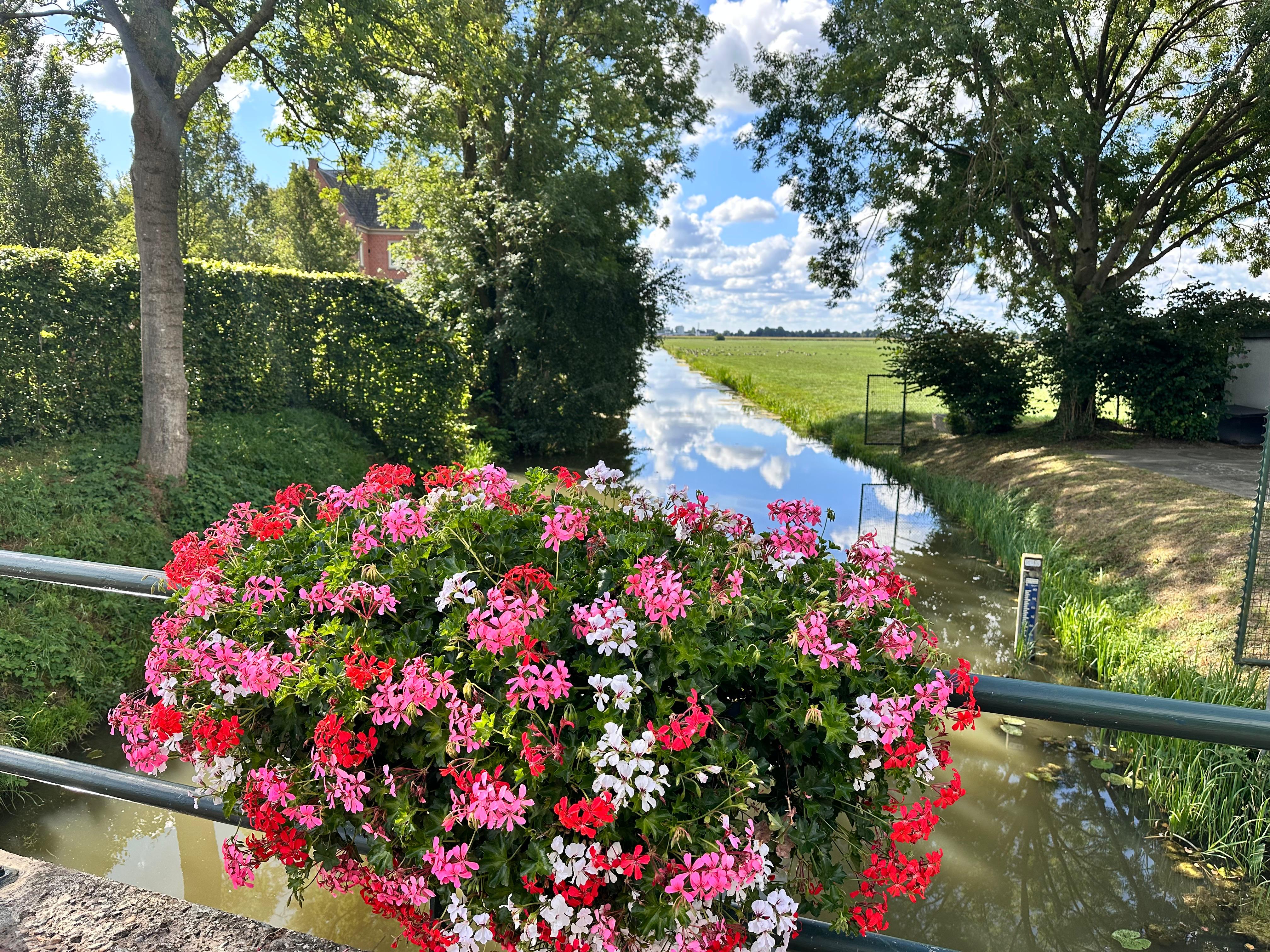 uitzicht vanaf de brug bij BB.jpg